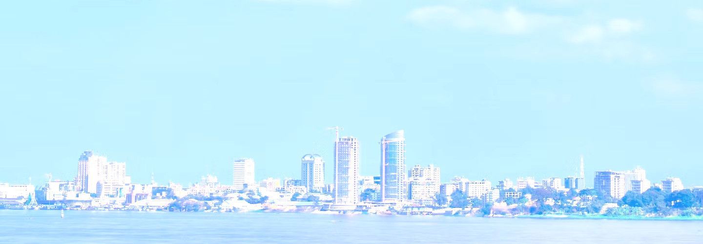 private jet to Kinshasa